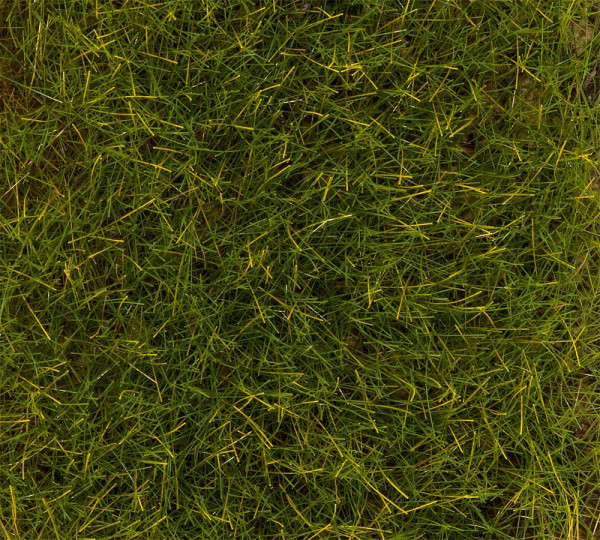 Faller 170774 - Fasern Sommerwiese 12mm 30g