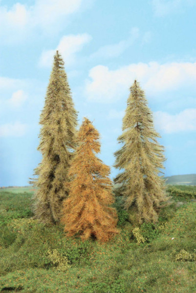 Heki 2177 - 3 Lärchen herbstlich 18-24 cm