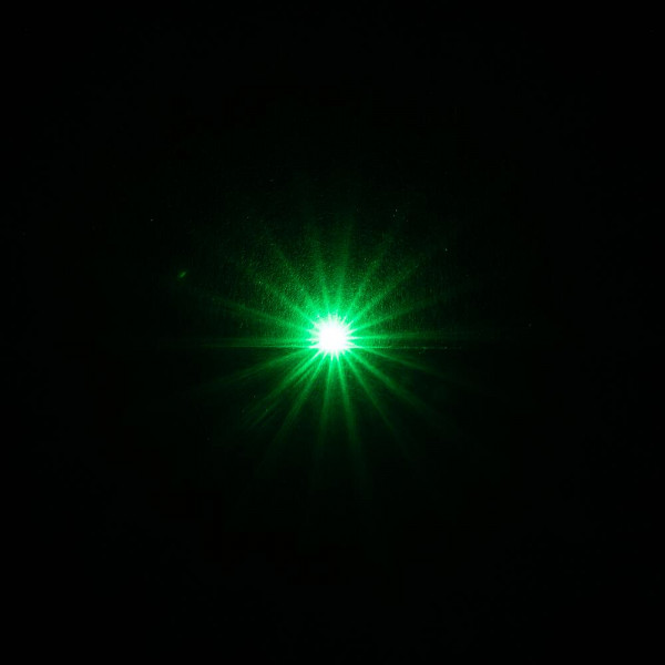 Faller 180717 - selbstblinkende LED, grün 5 Stück