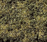 Noch 08350 - Waldboden-Gras 20 g Beutel