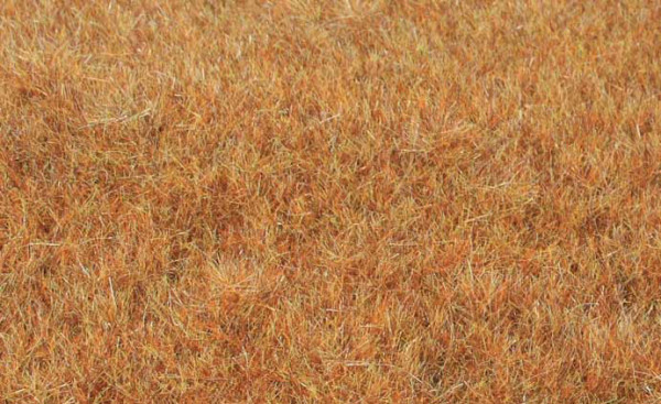 Heki 33545 - Grasfaser Willdgras Spätherbst, 75 g, 5-6 mm