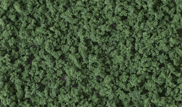 Woodland FC137 - Beflockungsmaterial dunkelgrün, 30g