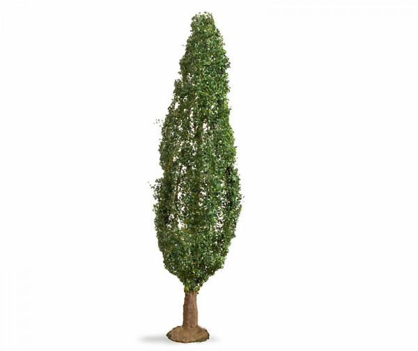 Noch 20130 - Pappel 18cm hoch