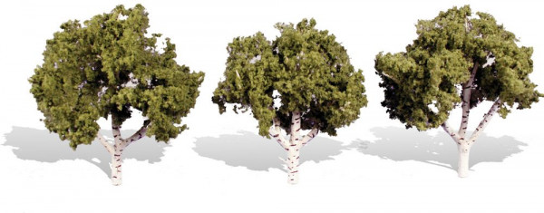 Woodland TR3534 - Fertigbaum Wasserrand 8-10 cm 3 Stück