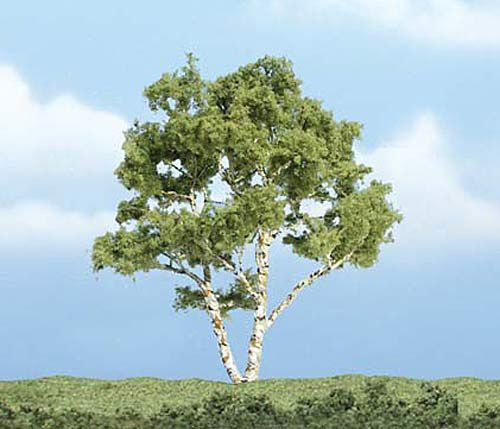 Woodland TR1601 - 1 Birke 10 cm