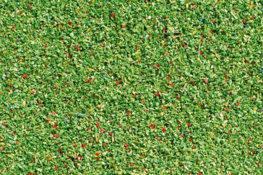 Auhagen 60822 - Streumaterial Wiese hellgrün 70g