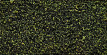 Woodland T1349 - Grasmischung fein grün 204g , Streudose