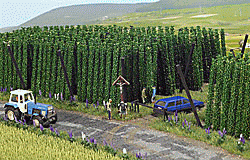 Busch 1215 - Hopfen