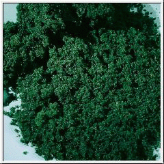 Auhagen 76982 - Moosschaum dunkelgrün fein 1000 ml