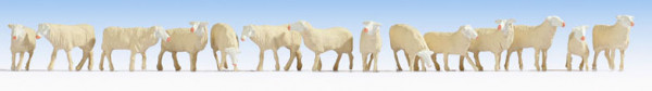 Noch 15749 - Schafe 14 Tiere