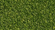 Noch 08410 - Streumaterial Almgrund 42 g