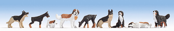 Noch 15717 - Hunde 9 verschiedene Tiere