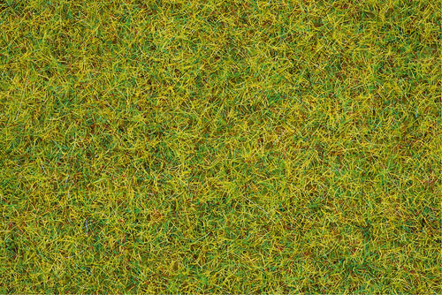 Noch 08151 - Gras Sommerwiese 2,5mm 120g