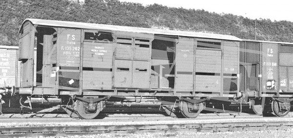 ACME 45220 - FS Viehtransportwagen Bauart Fo 2-teilig, FS E3