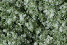 Auhagen 76933 - Blumenmatte weiß