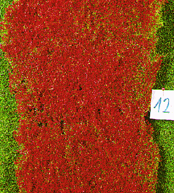 Heki 1588 - DECOVLIES-WIESENGR.BLUMEN ROT