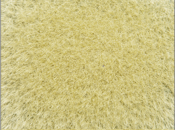 Noch 07119 - Wildgras gold-gelb, 9 mm, 50 g Beutel