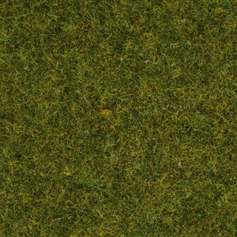 Noch 08312 - Streugras Wiese 2,5 mm 20 g