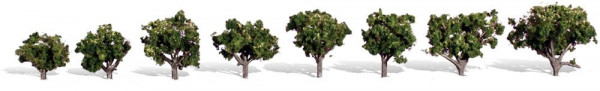 Woodland TR3501 - Fertigbaum Sonnenverwöhnt 2-3 cm 8 Stück