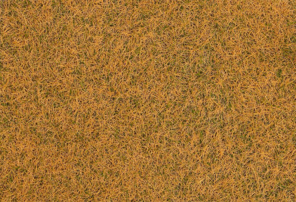 Faller 170260 - Streufasern Wildgras, verdorrtes Gras 4mm 1 kg