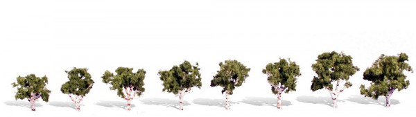 Woodland TR3531 - Fertigbaum Wasserrand 2-3 cm 8 Stück