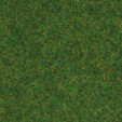Noch 08314 - Streugras Zierrasen 2,5 mm 20 g