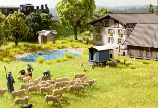 Noch 12961 - Schafherde