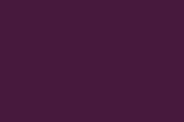 Weinert 2408 - 10-Brown, gl.110G (RAL 8017)