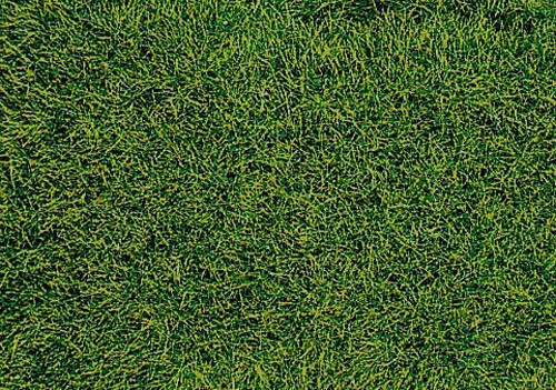 Heki 1573 - Wildgras Moorboden Heki decovlies 28 x 14