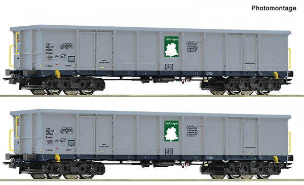 Roco 6600295 - EINSTELLER 2er Set Eanos Tankwagon E6