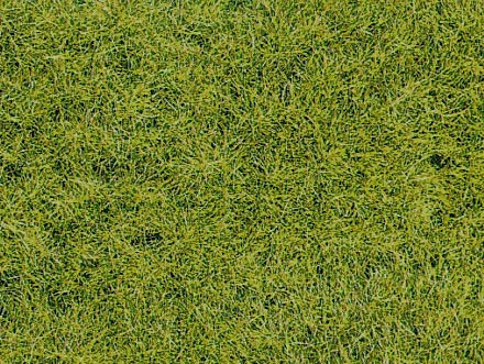 Heki 1576 - Wildgras Waldboden Heki decovlies 28 x 14