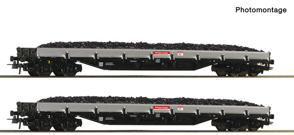 Roco 6600374 - DB-AG 2er Set Rungenwagen DB Bahnbau E6
