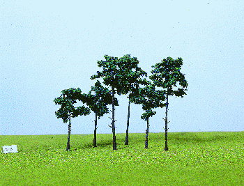 Heki 1413 - 14 Kiefern 10-16 cm