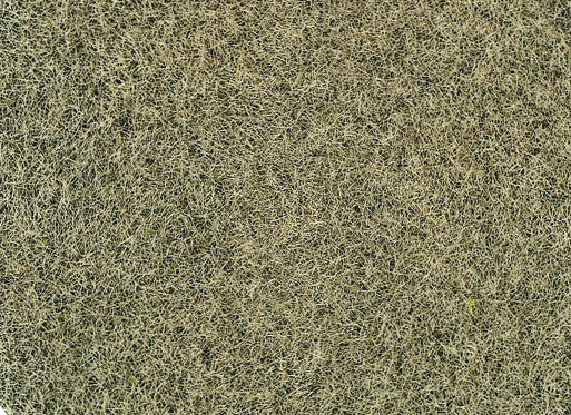 Heki 33540 - Grasfaser Willdgras Wintergras 75 g, 6 mm