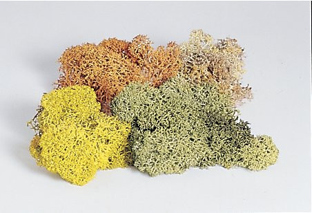 Piko 55712 - Dekor-Moos 4-farbig sort.