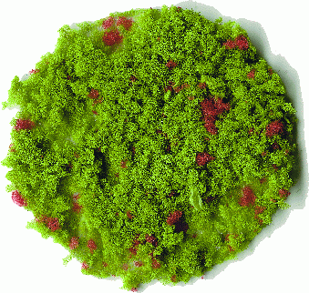 Heki 3390 - Belaubungsflocken bunt grob 200 ml