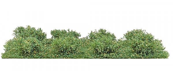 Busch 3603 - 8 Sträucher Spätsommer H0/N/T