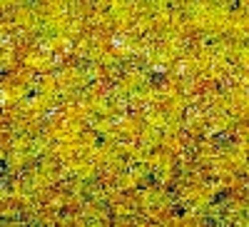 Noch 50190 - Sommerwiesen-Gras 100 g Beutel verschliessbar
