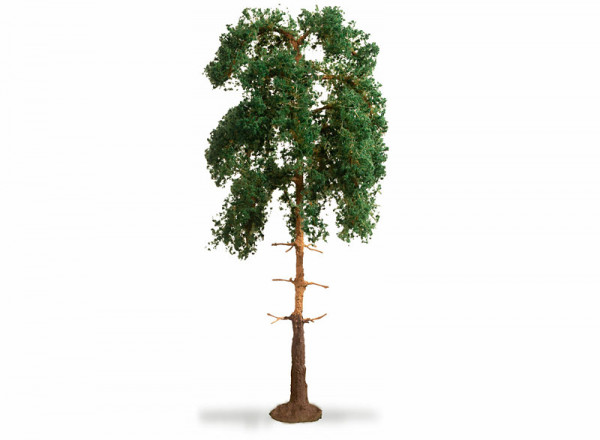 Noch 20141 - Kiefer 18cm hoch