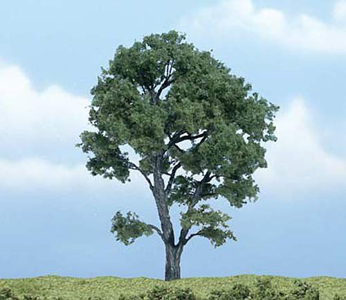 Woodland TR1610 - 1 Ahorn 11,5 cm