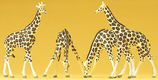 Preiser 79715 - Giraffen