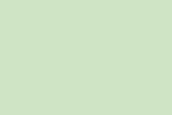 Weinert 2427 - 9-M-Duck Egg Blue, matt 123M