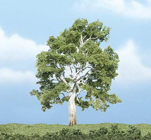 Woodland TR1609 - 1 Bergahorn 10 cm
