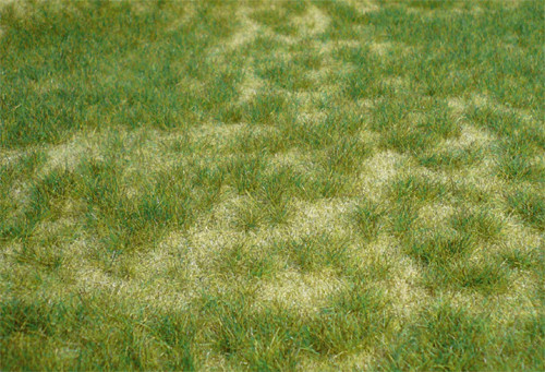 Heki 1842 - Heki realistic Wildgras 45 x 17 cm Sommergras