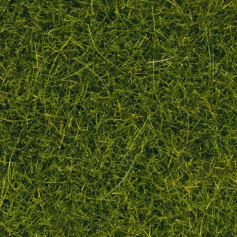Noch 07112 - Wildgras XL hellgrün 12 mm lang 40 g Beutel 0/H0