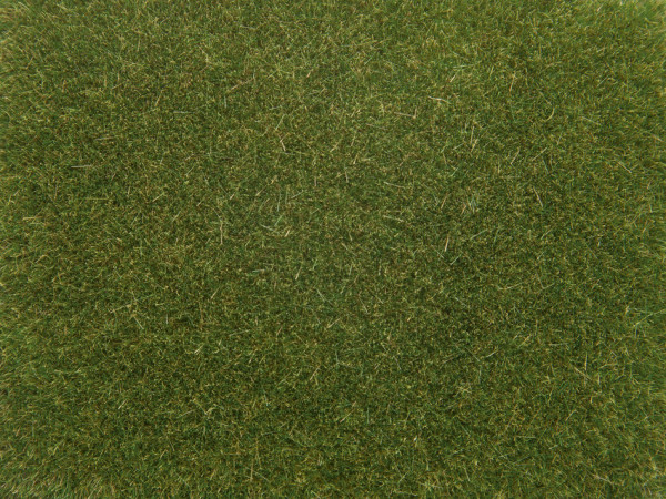 Noch 08364 - Streugras mittelgrün, 4 mm, 20 g
