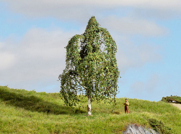 Noch 20121 - Hängebirke 12cm hoch