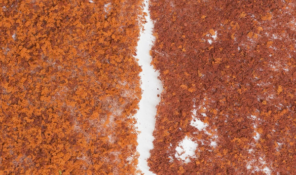 Woodland F56 - Belaubung Spätherbst (rot) 10g