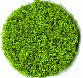 Heki 3386 - Belaubungsflocken hellgrün mittelfein 200 ml