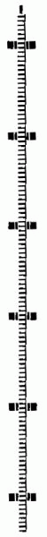 Fleischmann 6412 - Flexible Zahnstange Länge: 200mm